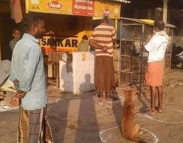 'Social Distancing': oe24 sucht die lustigsten Tierfotos