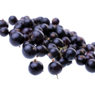 Lebensmittel ohne Kohlenhydrate