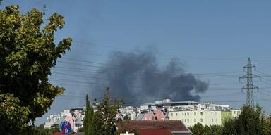 937bfac4-09b7-4507-b748-6107e30d6dd2.jfif