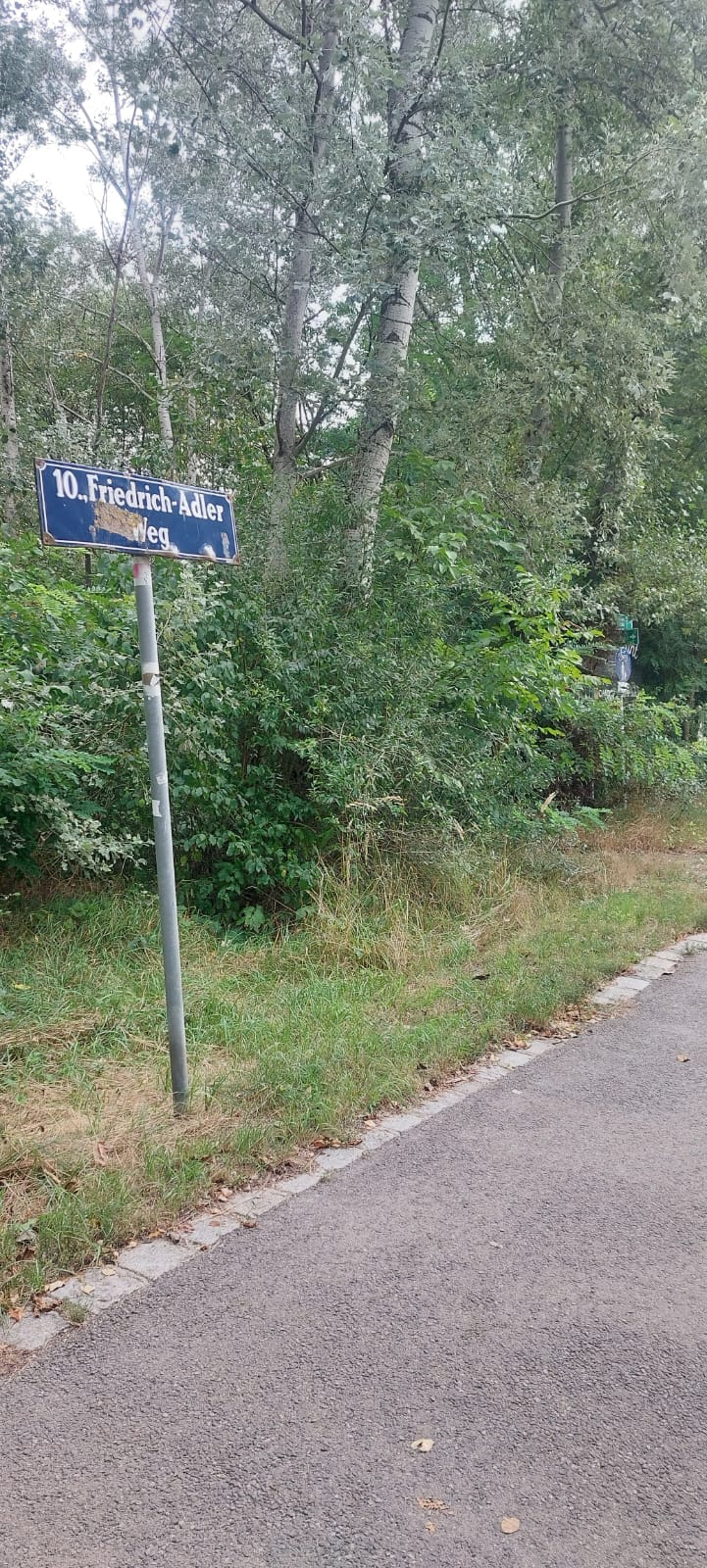 Enthauptete Leiche am Wienerberg: War es wieder Obdachlosen-Killer?