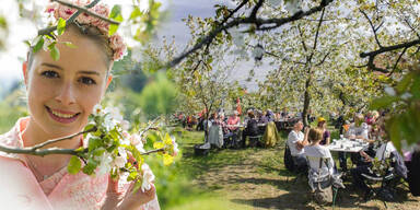 Baumblütenfest in Werder (Havel)