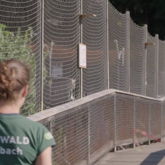 Gefangenschaft: Bär Tim braucht Hilfe