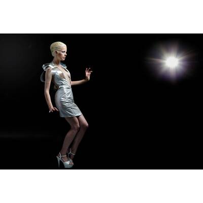 Das Roosegaarde-Kleid