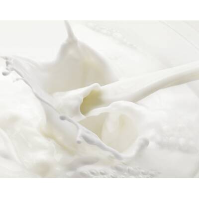 Lebensmittel ohne Kohlenhydrate