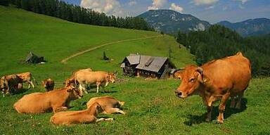 Kopie von Zahl der &Uuml;bernachtungen stieg im Sommerhalbjahr um 2,6 Prozent