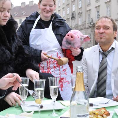 Pelzgegner demonstrieren am Stephansplatz