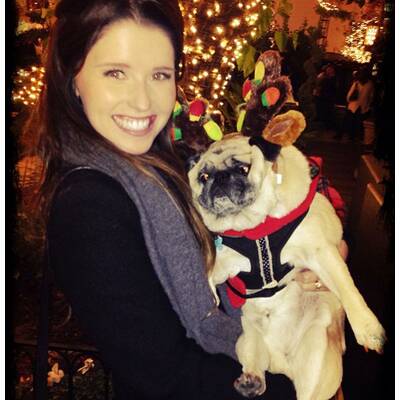 Die Stars sind schon in Weihnachts-Stimmung