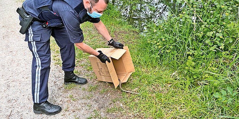 Hohenems Schlange in Kleidergeschäft