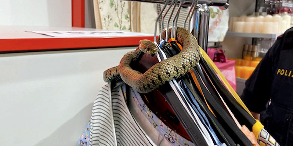 Hohenems Schlange in Kleidergeschäft