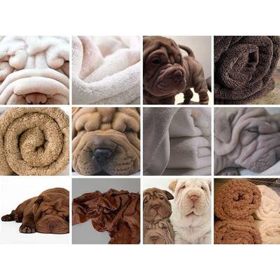 Entlein oder Kochbanane