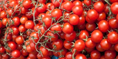 Das zügelt unseren Appetit