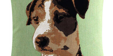 Jetzt: Frühling in die Wohnung holen