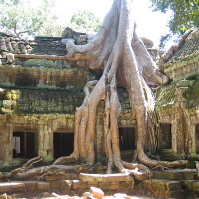 Bryce Canyon Nationalpark (Utah, USA)