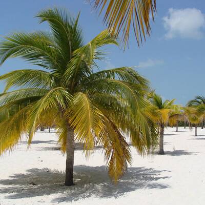 Privatinsel Pangkor Laut / Malaysia