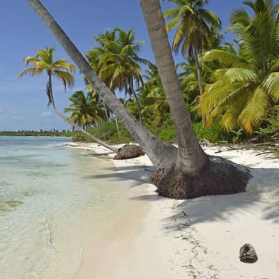 Platz 10: Madagaskar