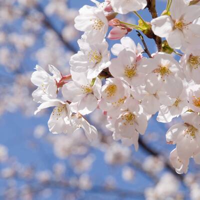 Auf dem Inka-Pfad nach Machu Picchu