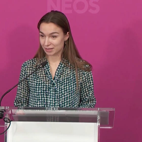 NEOS wollen im U-Ausschuss Fokus auf System Pilnacek legen