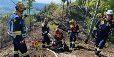 Waldbrand Graz