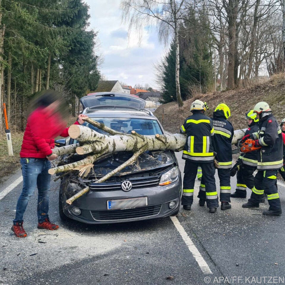 Böen entwurzelten Baum im Bezirk Waidhofen an der Thaya. 