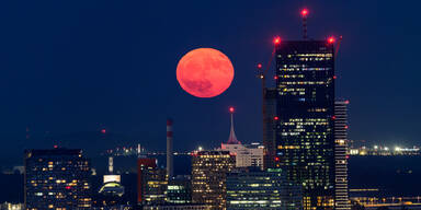 Erdbeermond &uuml;ber Wien