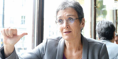 Polizei jagt Lunacek-Attentäter