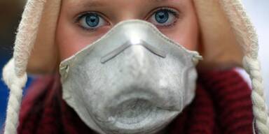 "Gefahr aus dem Burgenland": N&Ouml; Stra&szlig;endienst nimmt Kampf auf