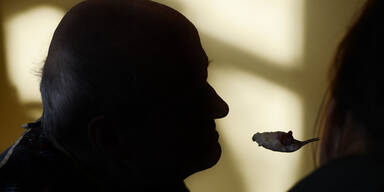 NÖ-Grüne orten Pflege-Notstand bei persönlicher Assistenz