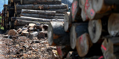 N&Ouml;-Industrie: Talsohle durchschritten