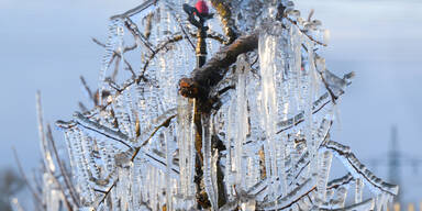 Schrems: Schneidend kalte -13&deg; am N&Ouml;-K&auml;ltepol