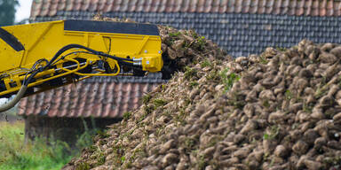 Agrana will bis zu 500 Stellen streichen