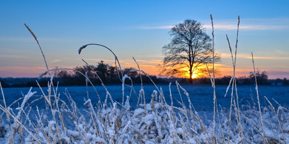 So facettenreich ist der Winter in Niederösterreich