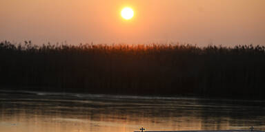 Nationalpark Neusiedler See w&auml;chst