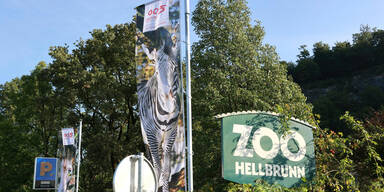 Zoo Salzburg