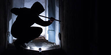 Alptraum f&uuml;r Bauernfamilien: immer mehr Stalleinbr&uuml;che