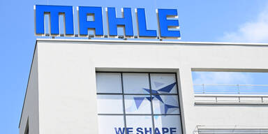 mahle