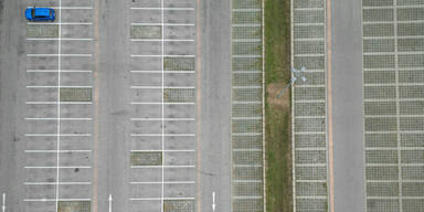 Hohe Zustimmung zur Renaturierung in N&Ouml;