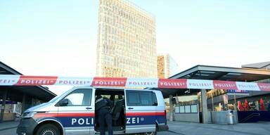 Wiener Taxler begr&uuml;&szlig;en verst&auml;rkte Kontrollen am Hauptbahnhof