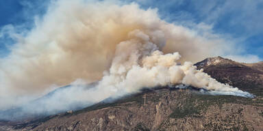 Waldbrand am Sonnenberg bei Latsch im Südtiroler Vinschgau