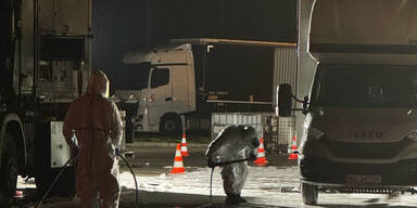 Maul- und Klauenseuche