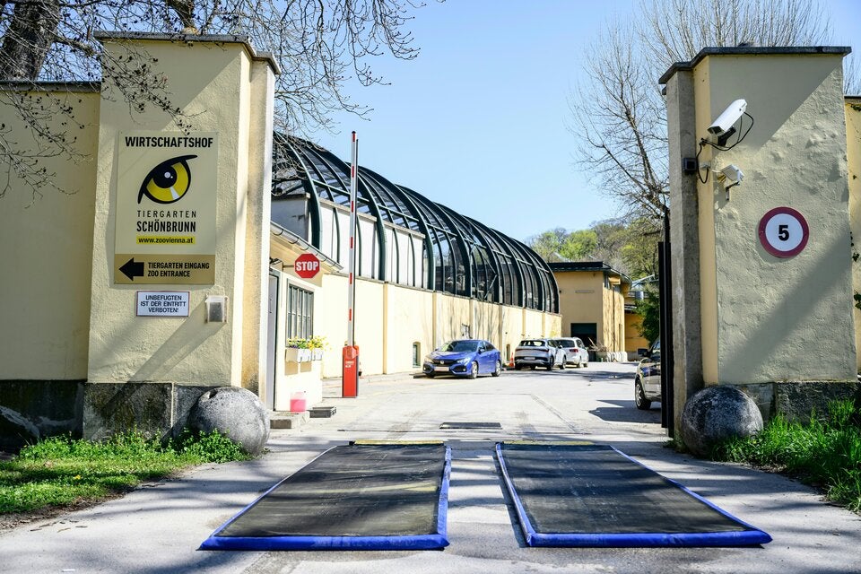 Seuchenteppich am Lieferanteneingang im Tiergarten Schönbrunn in Wien.