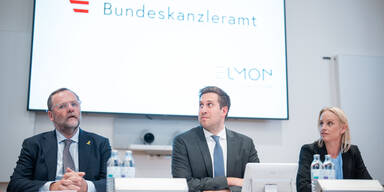 Schellhorn, Schmidt und Pröll
