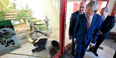 "&Uuml;bergabe eines neuen Panda-Paars"