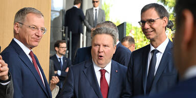 Stezer Ludwig Wallner