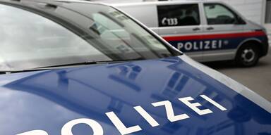 Party-Crasher (45) schlug mit Verkehrszeichen um sich