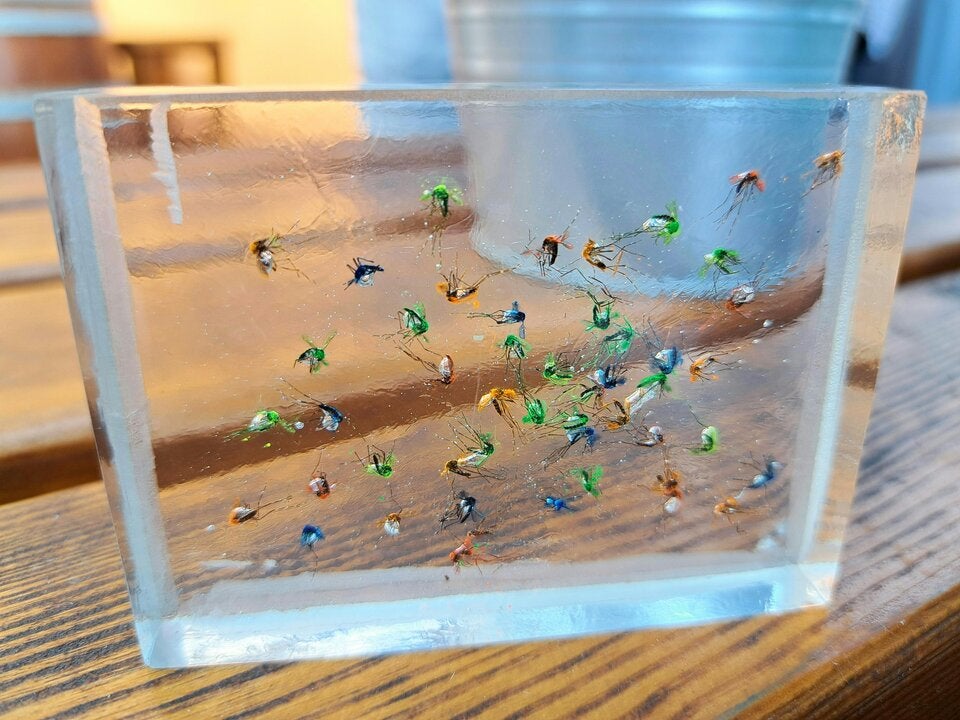 Asiatische Tigermücken