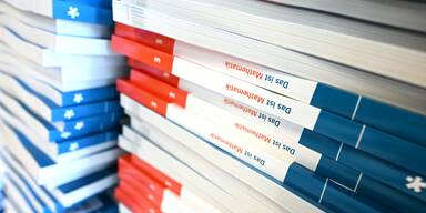 FP&Ouml;-N&Ouml;-Landesr&auml;te ver&auml;rgert: Nur 11 % der Asylwerber aus 2022 am Arbeitsmarkt