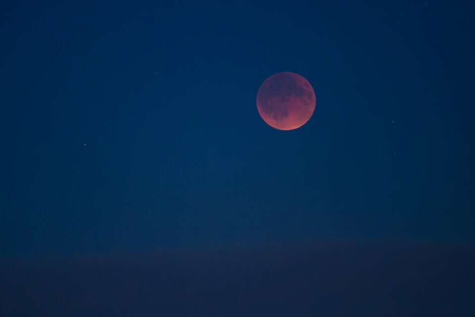 Blutmond