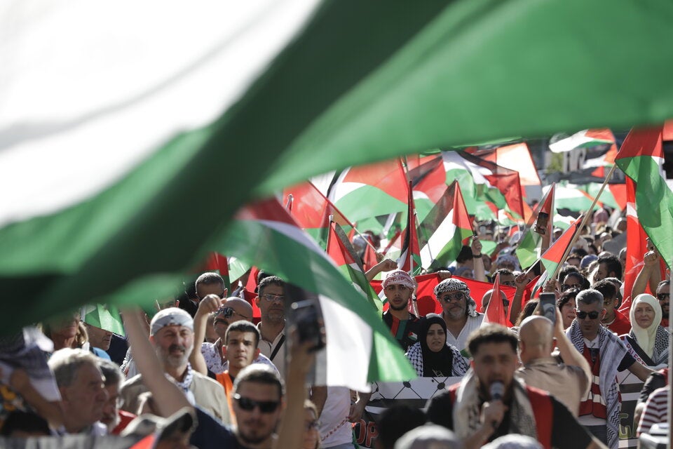 palästina demo wien