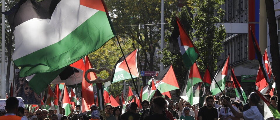 palästina demo wien