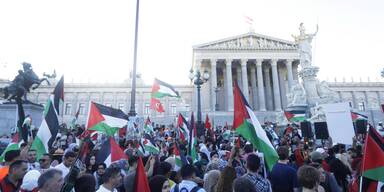 palästina demo wien
